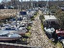 Typical view of our main riverside yard image 3