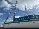 Breeze of meon image 1