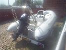 Amelia image 8